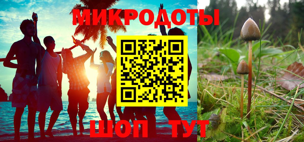 Псилоцибиновые грибы Psilocybe Донецк