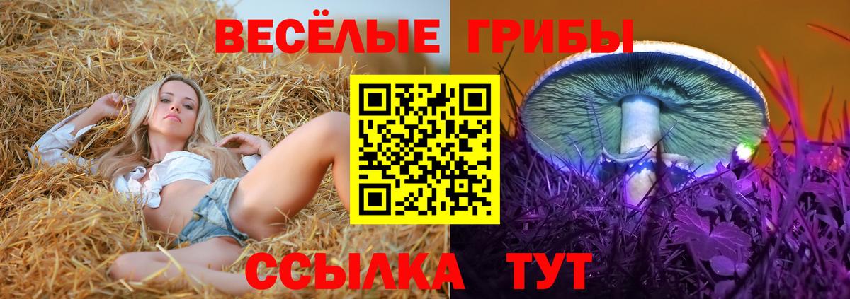 Галлюциногенные грибы прущие грибы  Вход с VPN  Донецк 